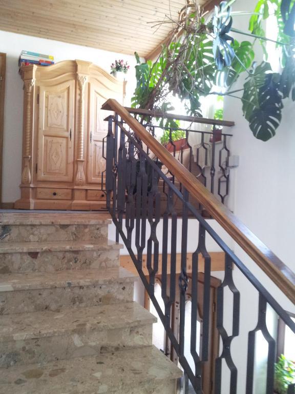 Appartement Fischer Sankt Johann in Tirol Exteriör bild
